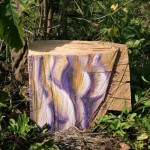 legno60